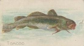 1912 Imperial Tobacco Co of Canada Fish Series (C53) #9 Tomcod Front