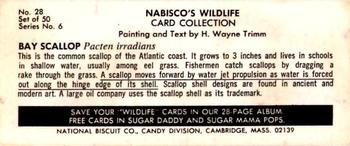 1968 Nabisco Sugar Daddy Wildlife Collection Series 6 #28 Bay Scallop Back