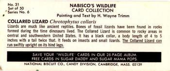 1968 Nabisco Sugar Daddy Wildlife Collection Series 6 #31 Collared Lizard Back