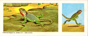 1968 Nabisco Sugar Daddy Wildlife Collection Series 6 #31 Collared Lizard Front