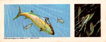 1968 Nabisco Sugar Daddy Wildlife Collection Series 6 #42 Blue-Fin Tuna Front