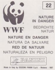 1987 Panini WWF Nature in Danger Stickers #22 Albatross Back