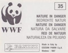 1987 Panini WWF Nature in Danger Stickers #35 Barracuda Back