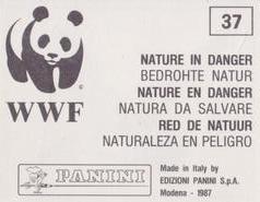 1987 Panini WWF Nature in Danger Stickers #37 Seagull Back