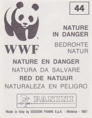 1987 Panini WWF Nature in Danger Stickers #44 Audouin's Gull Back