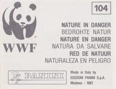 1987 Panini WWF Nature in Danger Stickers #104 Rainbow Trout Back