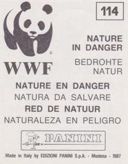 1987 Panini WWF Nature in Danger Stickers #114 Kingfisher Back