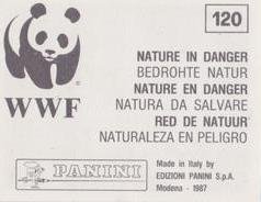 1987 Panini WWF Nature in Danger Stickers #120 Kingfisher Back