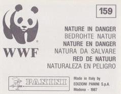 1987 Panini WWF Nature in Danger Stickers #159 Alpine Chough Back