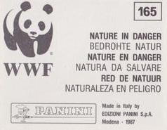 1987 Panini WWF Nature in Danger Stickers #165 Marmot Back