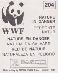 1987 Panini WWF Nature in Danger Stickers #204 Little Owl Back