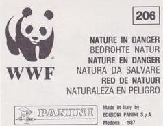 1987 Panini WWF Nature in Danger Stickers #206 Field Mouse Back