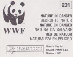 1987 Panini WWF Nature in Danger Stickers #231 Wild Boar Back