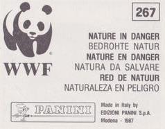 1987 Panini WWF Nature in Danger Stickers #267 Lemming Back