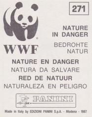 1987 Panini WWF Nature in Danger Stickers #271 Mosquito Back