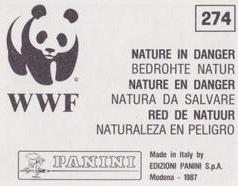 1987 Panini WWF Nature in Danger Stickers #274 Polar Bear Back