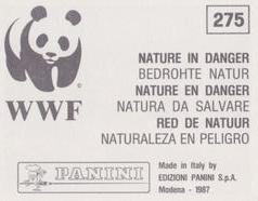 1987 Panini WWF Nature in Danger Stickers #275 Caribou Back