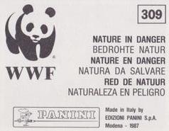 1987 Panini WWF Nature in Danger Stickers #309 Sheep Back