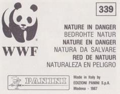 1987 Panini WWF Nature in Danger Stickers #339 Cat Back
