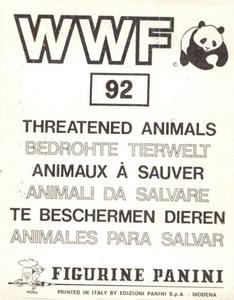 1986 Panini Threatened Animals Stickers #92 King Vulture Back