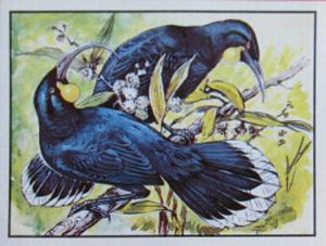 1986 Panini Threatened Animals Stickers #312 Huia Front