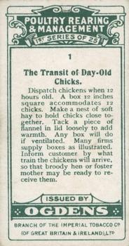 1922 Ogden's Poultry Rearing & Management #1 The Transit of Day-Old Chicks Back