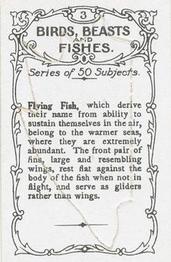 1924 Wills's Birds, Beasts, and Fishes #3 Flying Fish Back