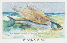 1924 Wills's Birds, Beasts, and Fishes #3 Flying Fish Front