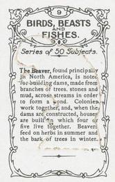 1924 Wills's Birds, Beasts, and Fishes #9 The Beaver Back