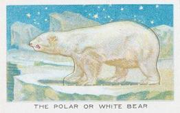 1924 Wills's Birds, Beasts, and Fishes #20 The Polar Bear (or White Bear) Front