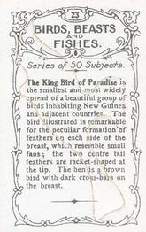 1924 Wills's Birds, Beasts, and Fishes #23 The King Bird of Paradise Back