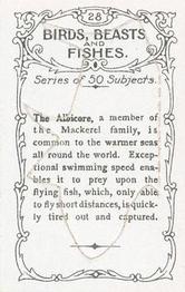 1924 Wills's Birds, Beasts, and Fishes #28 The Albacore Fish Back