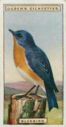 1924 Ogden's Foreign Birds #5 Bluebird Front