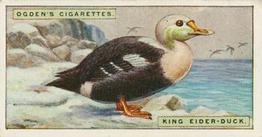 1924 Ogden's Foreign Birds #12 King Eider-duck Front