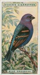 1924 Ogden's Foreign Birds #20 Blue Grosbeak Front