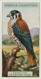 1924 Ogden's Foreign Birds #23 American Sparrow Hawk Front