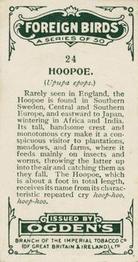1924 Ogden's Foreign Birds #24 Hoopoe Back
