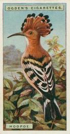 1924 Ogden's Foreign Birds #24 Hoopoe Front