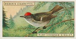 1924 Ogden's Foreign Birds #29 Ruby-crowned Kinglet Front