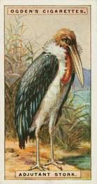1924 Ogden's Foreign Birds #40 Adjutant Stork Front