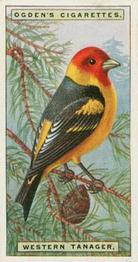 1924 Ogden's Foreign Birds #42 Western Tanager Front