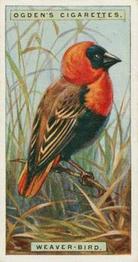 1924 Ogden's Foreign Birds #49 Weaver-bird Front