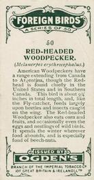 1924 Ogden's Foreign Birds #50 Red-headed Woodpecker Back