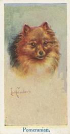 1924 Moustafa Leo Chambers Dogs Heads #2 Pomeranian Front