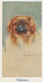 1924 Moustafa Leo Chambers Dogs Heads #3 Pekinese Front