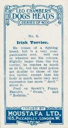 1924 Moustafa Leo Chambers Dogs Heads #6 Irish Terrier Back