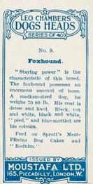 1924 Moustafa Leo Chambers Dogs Heads #9 Foxhound Back