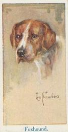1924 Moustafa Leo Chambers Dogs Heads #9 Foxhound Front