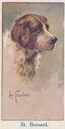 1924 Moustafa Leo Chambers Dogs Heads #12 St. Bernard Front