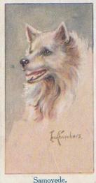 1924 Moustafa Leo Chambers Dogs Heads #15 Samoyede Front